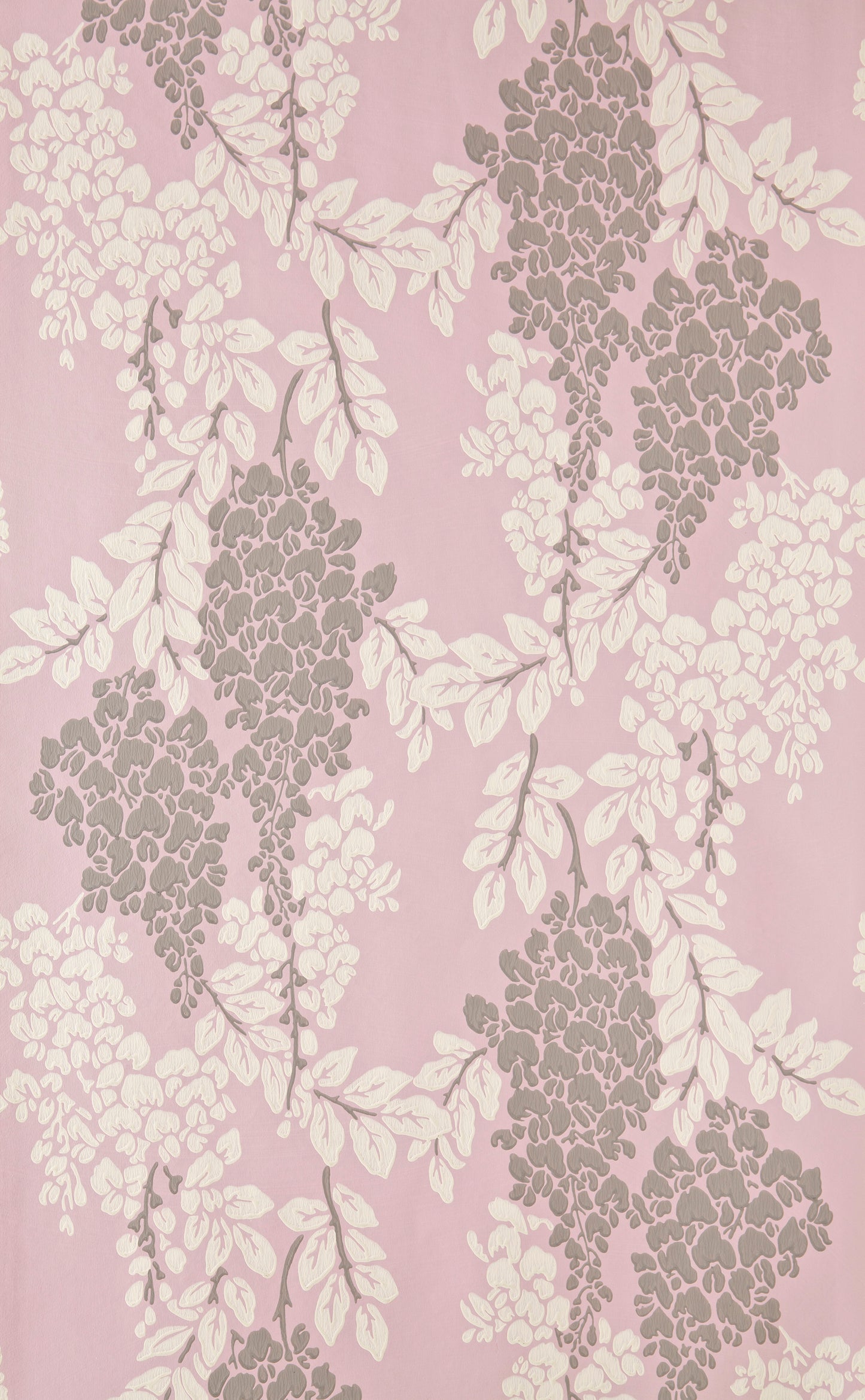 Wisteria BP 2209