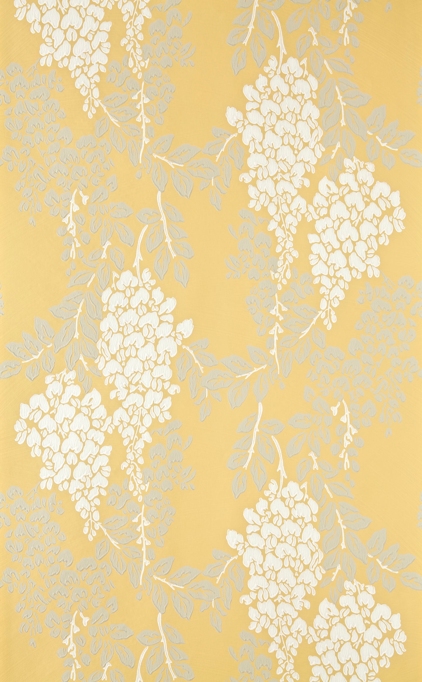 Wisteria BP 2212