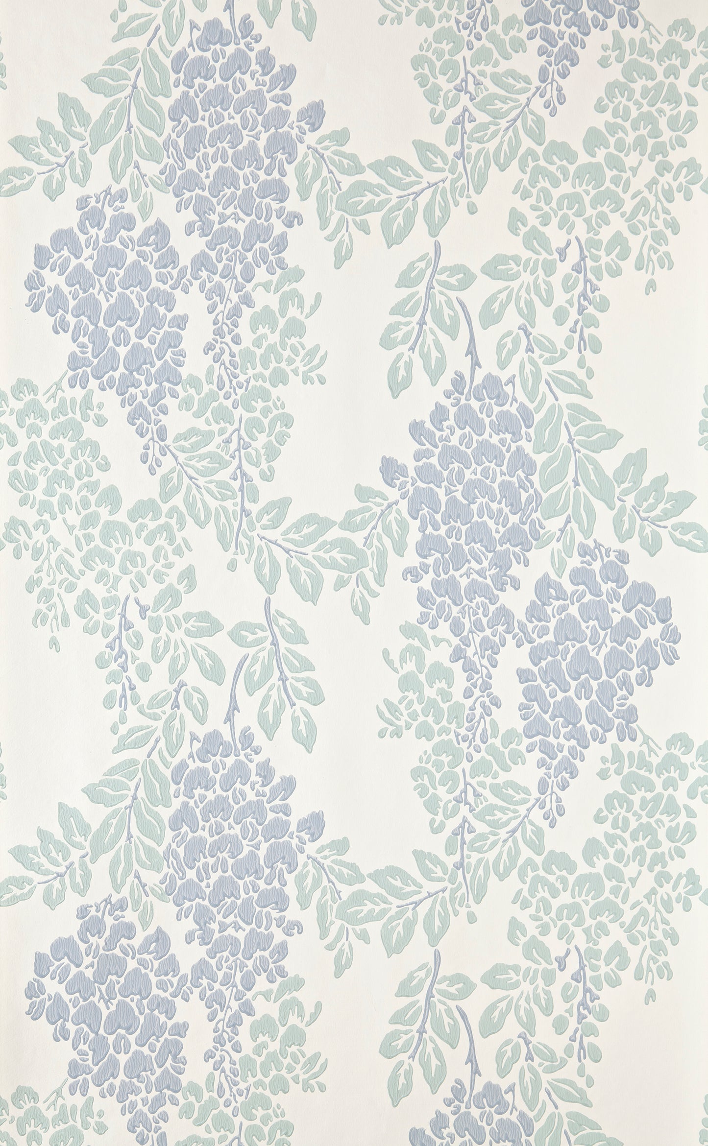 Wisteria BP 2217