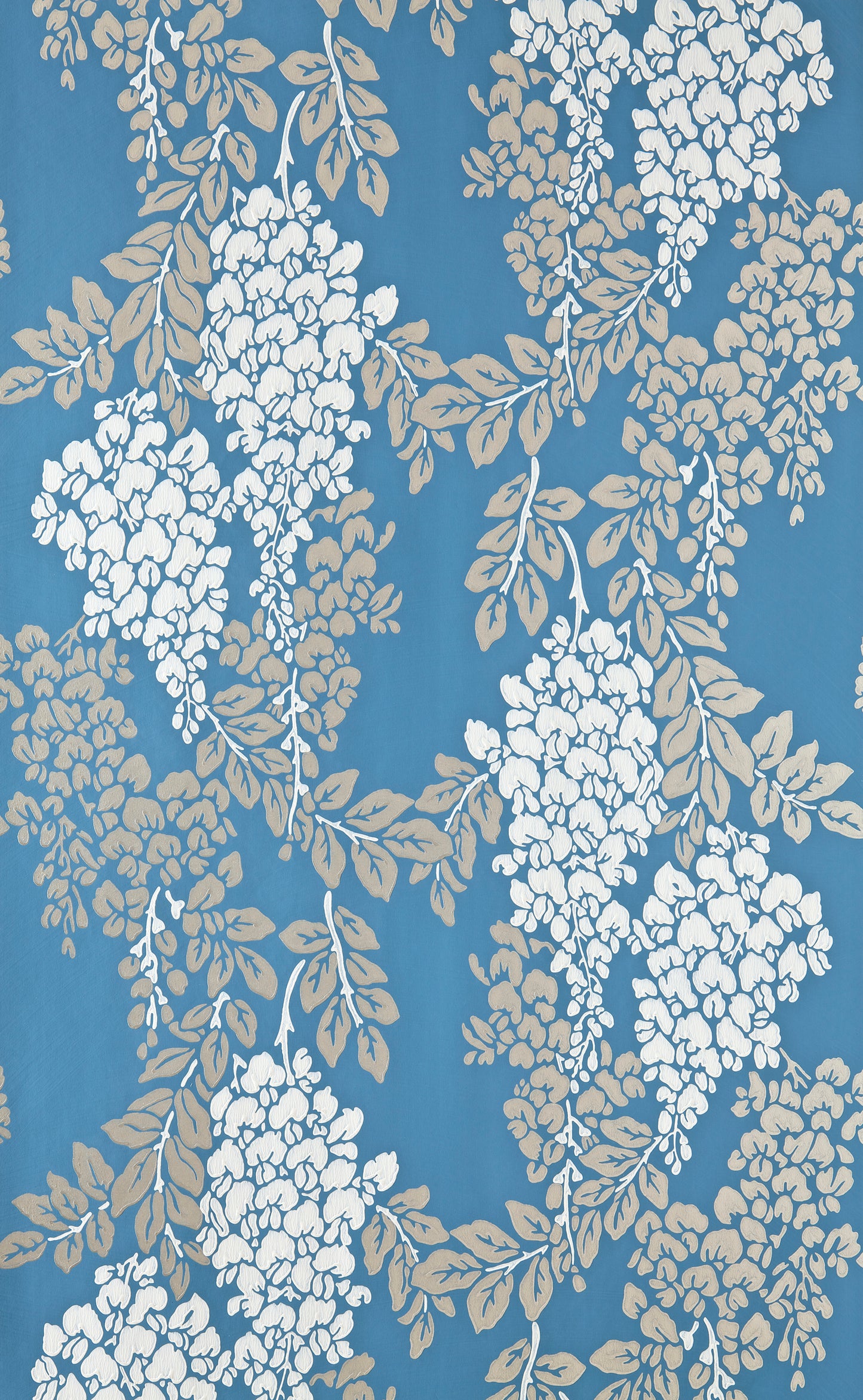 Wisteria BP 2218
