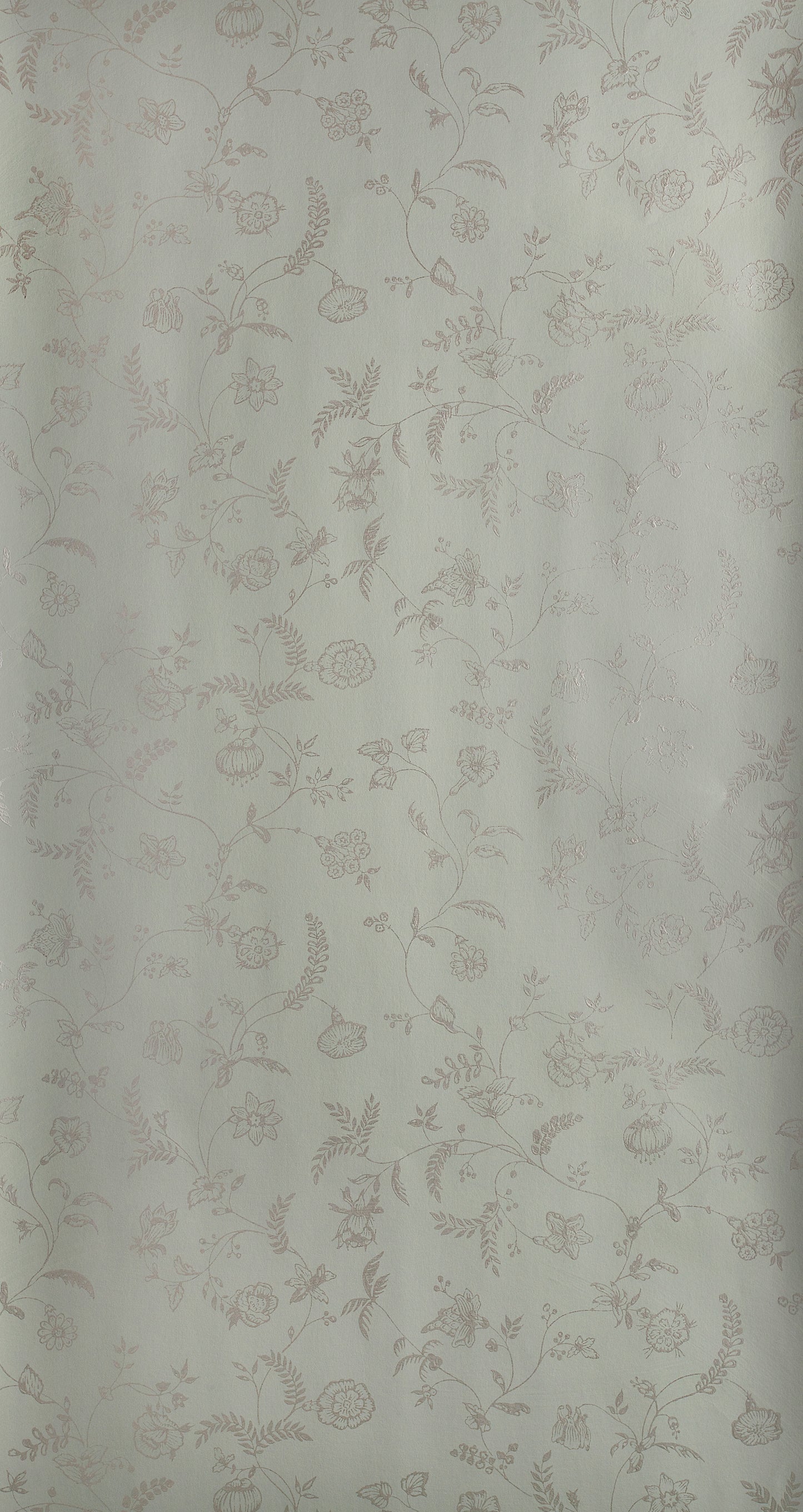 Uppark BP 581