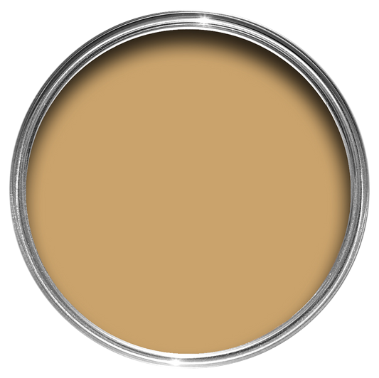 Archive Collection: Cane No. 53