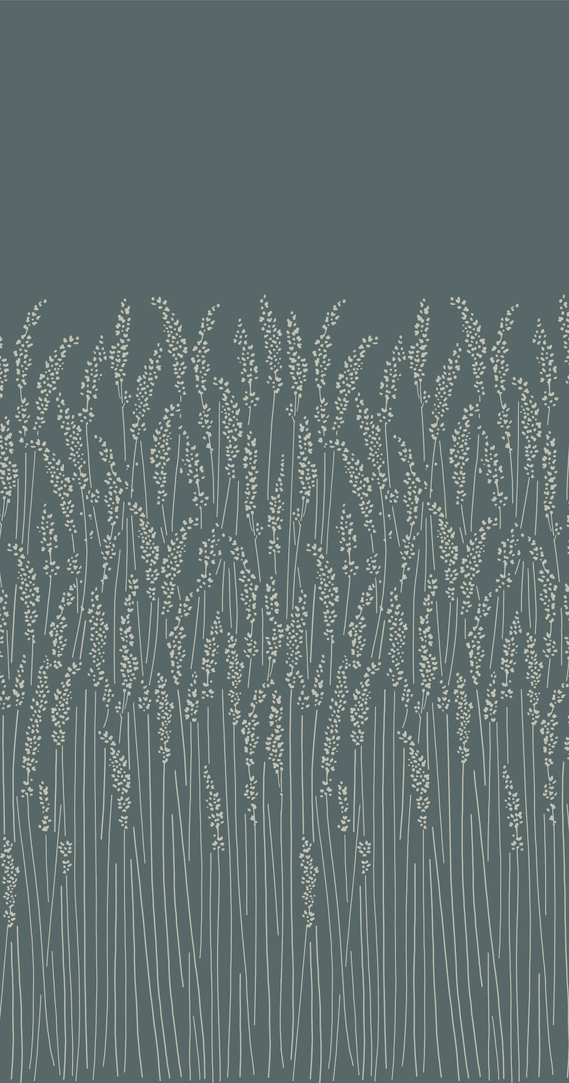 Feathergrass BP 5108