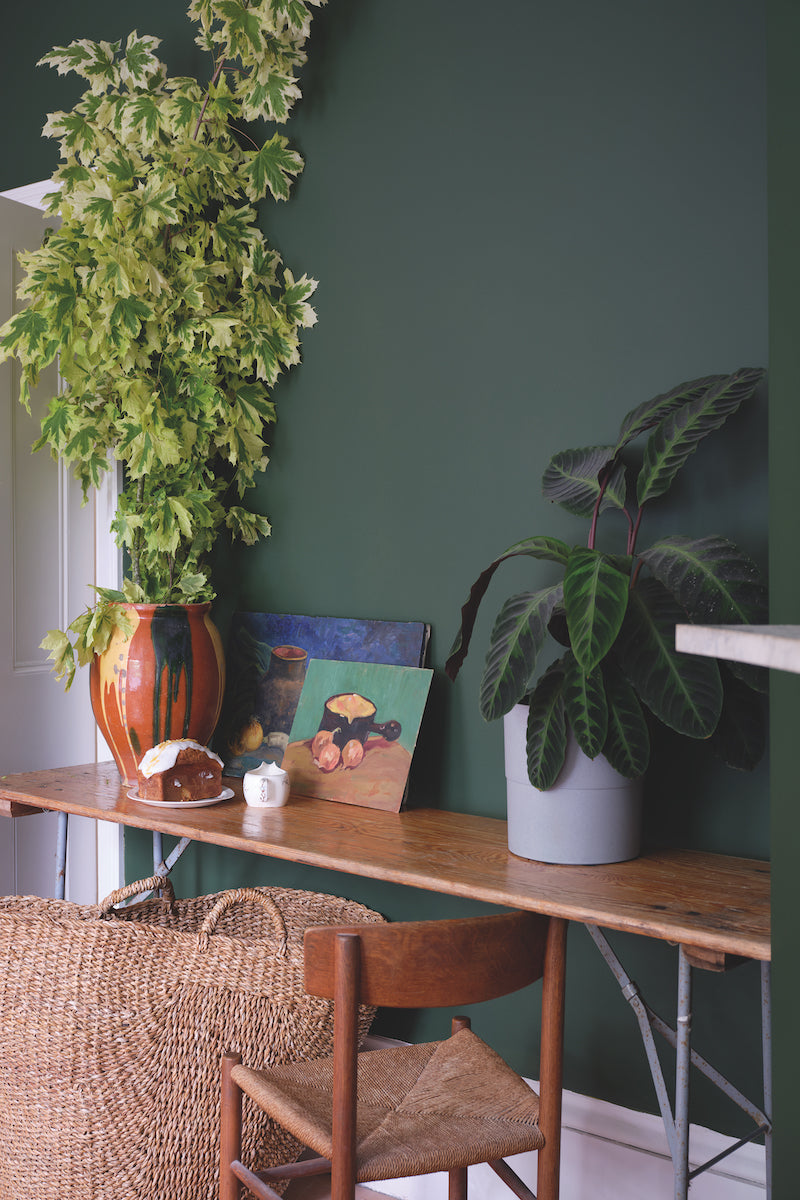 Archive Collection: Duck Green No. W55