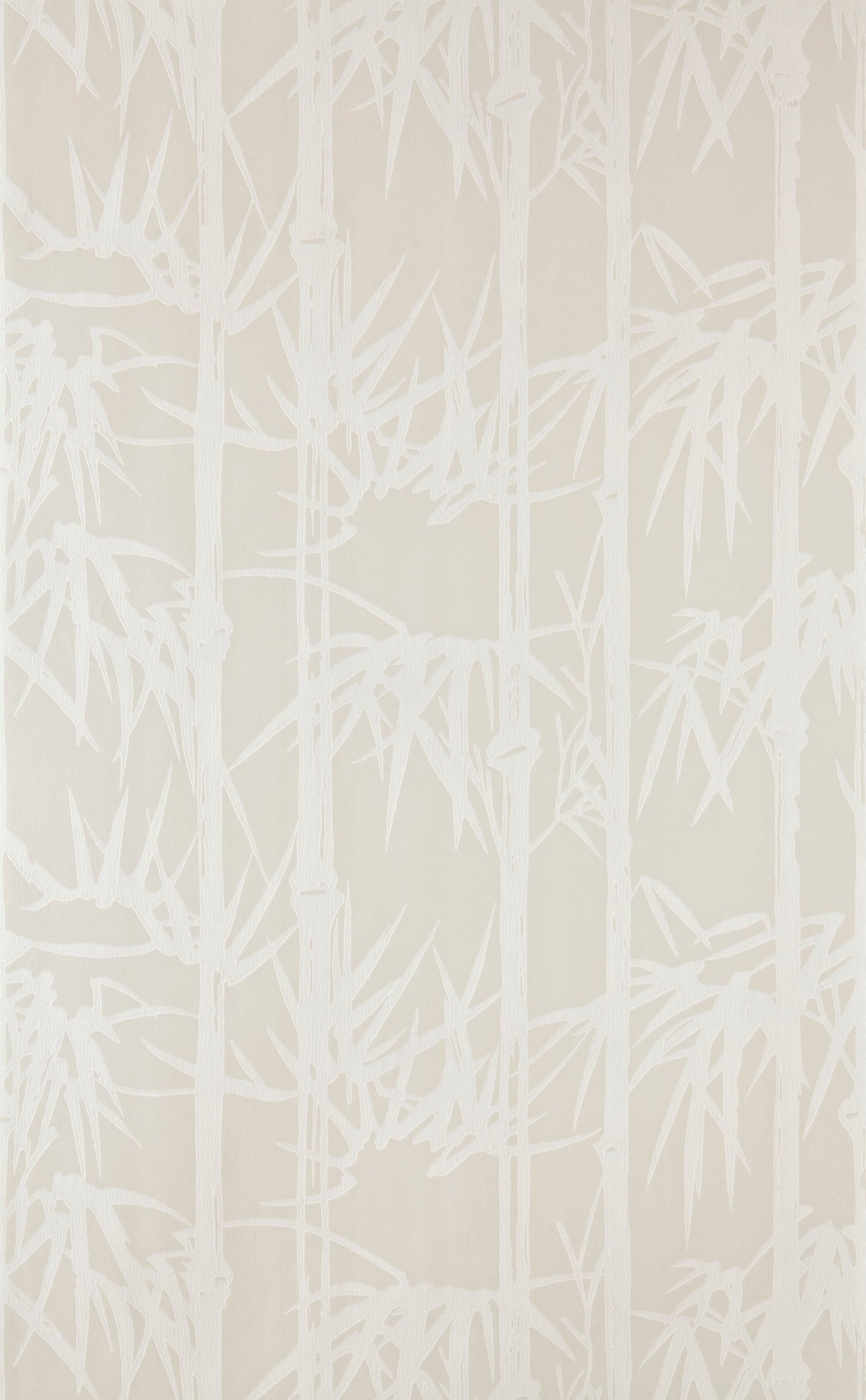 Bamboo BP 2107