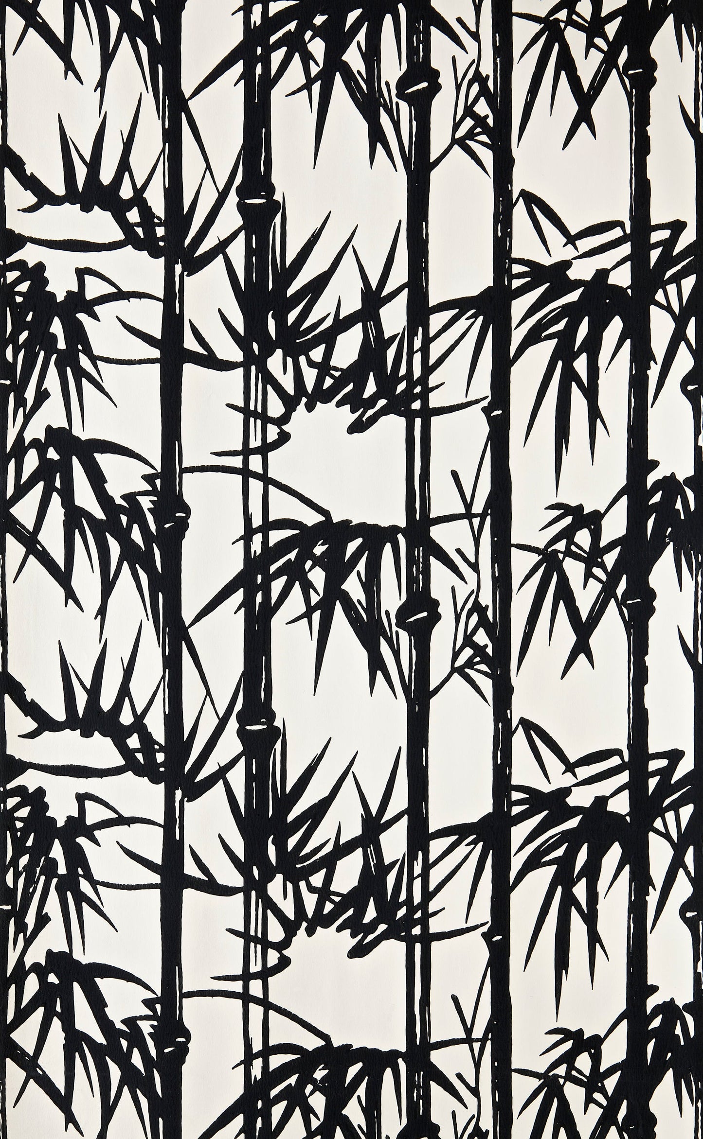 Bamboo BP 2119
