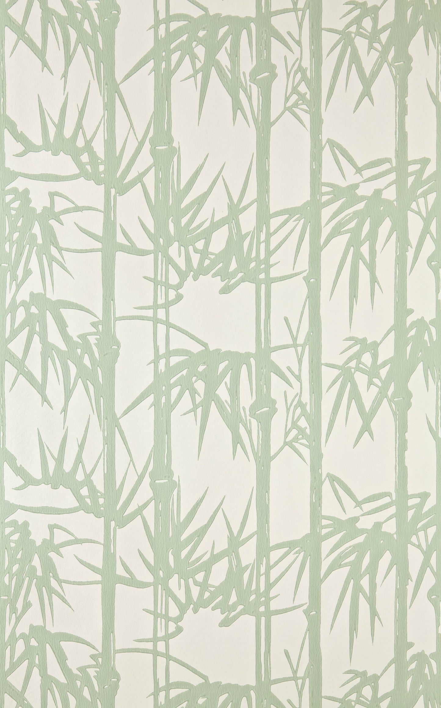 Bamboo BP 2139