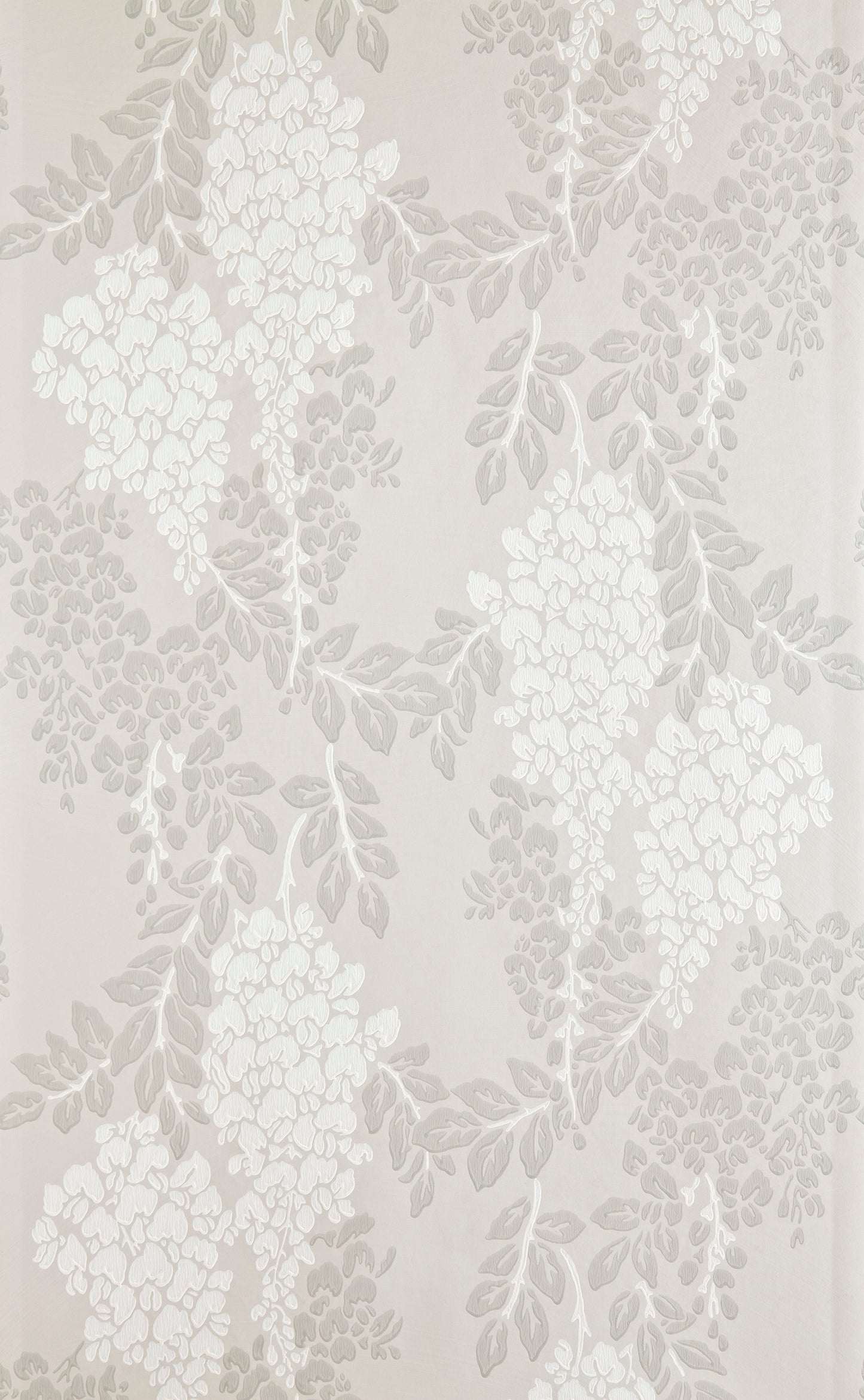 Wisteria BP 2201