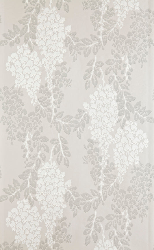 Wisteria BP 2201