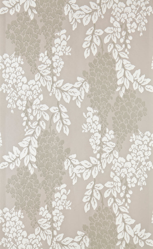 Wisteria BP 2202