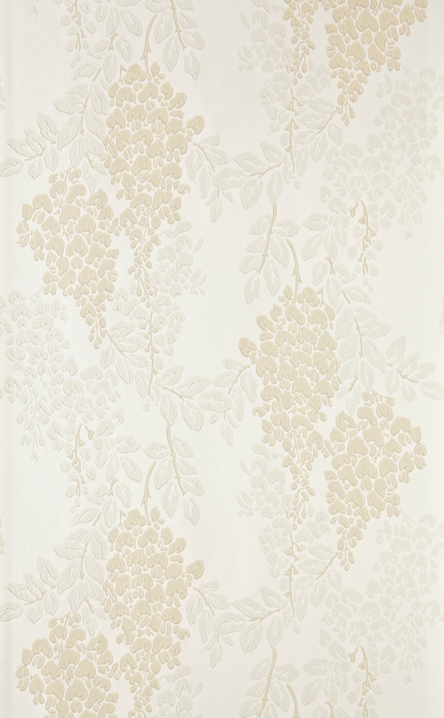 Wisteria BP 2204