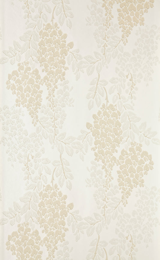 Wisteria BP 2204