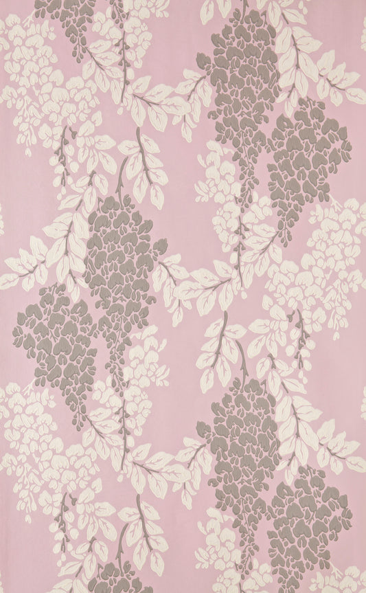 Wisteria BP 2209