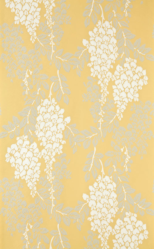 Wisteria BP 2212