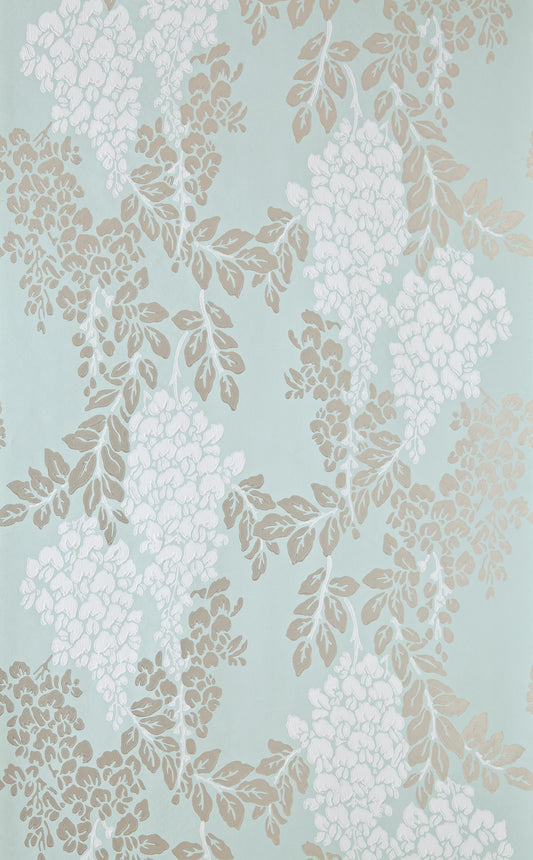 Wisteria BP 2214