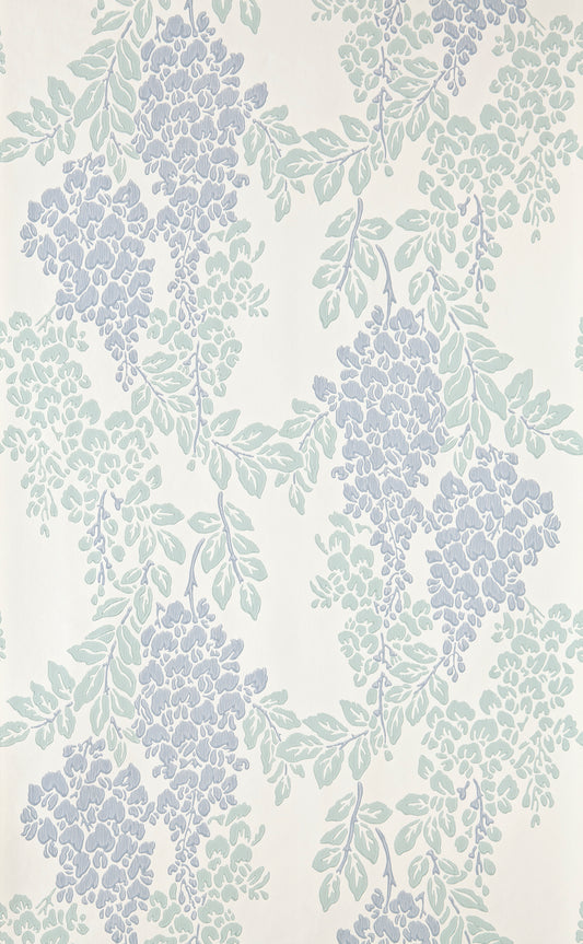 Wisteria BP 2217