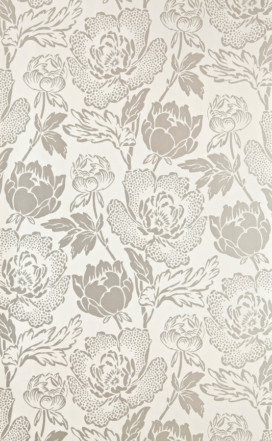 Peony BP 2303