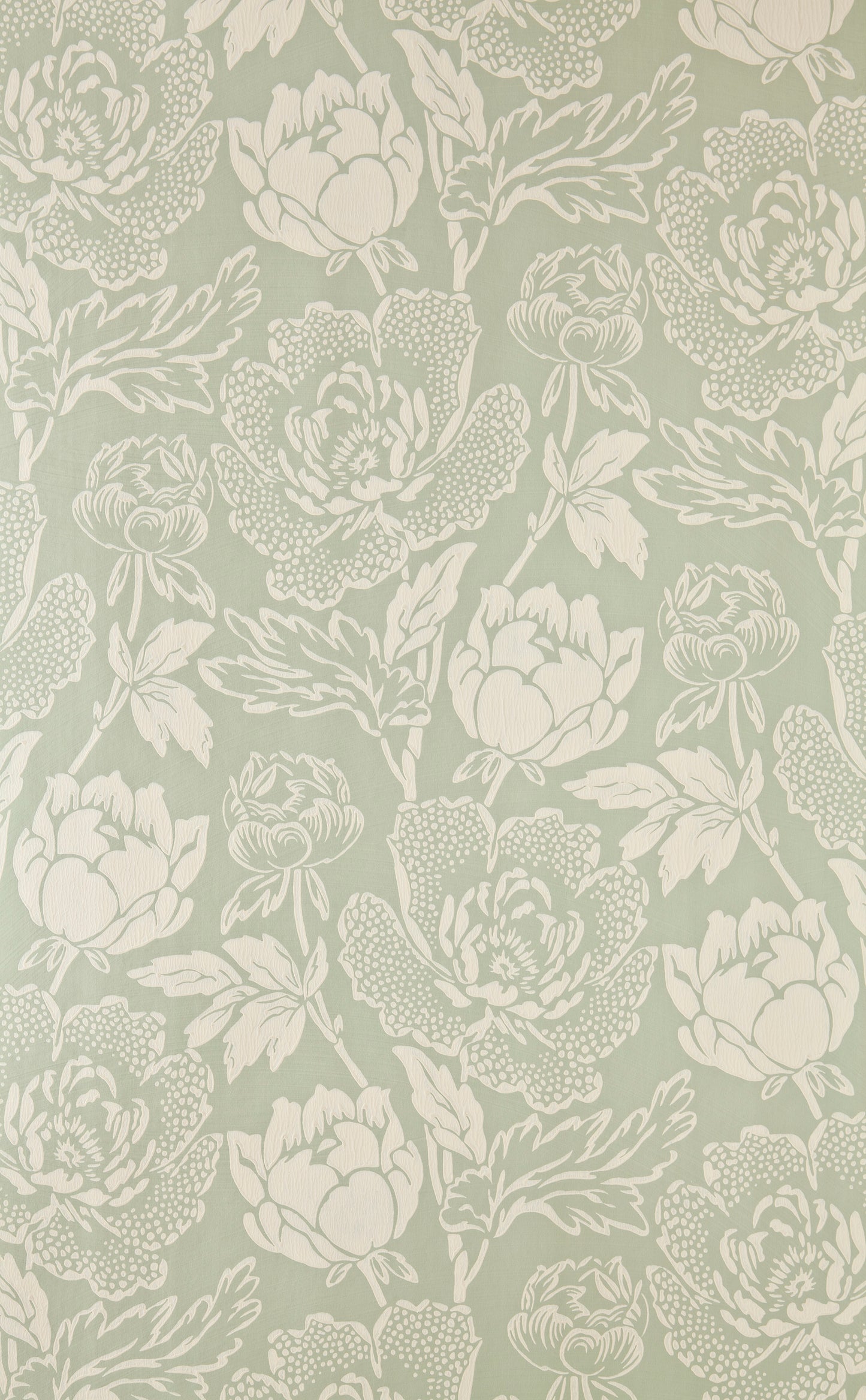 Peony BP 2313