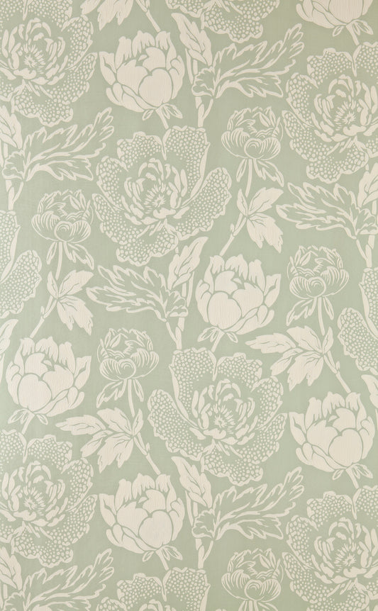 Peony BP 2313