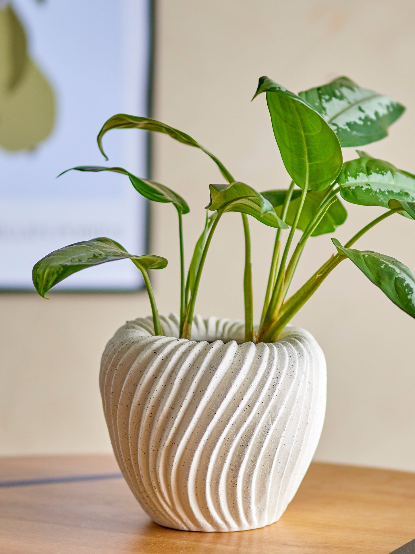 Maham Blumentopf, Natur, Steingut