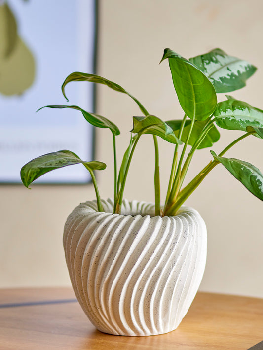 Maham Blumentopf, Natur, Steingut