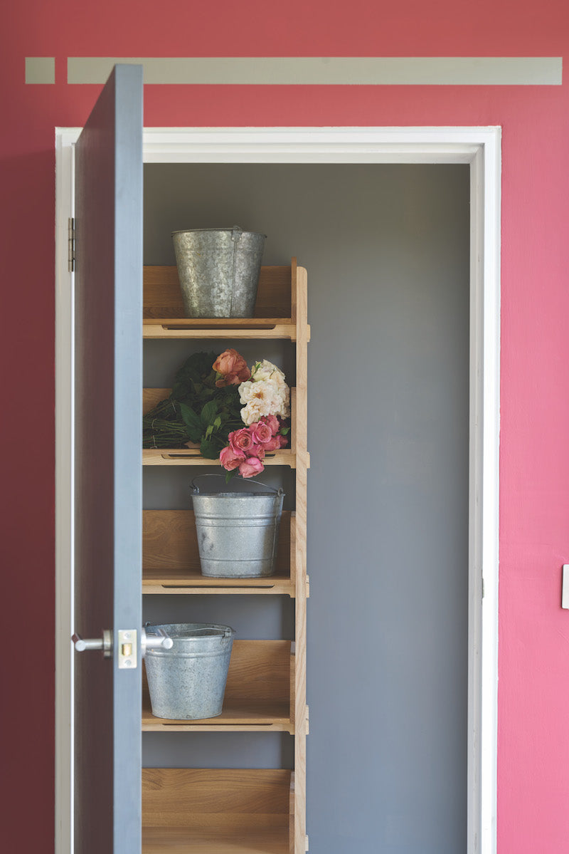 Archive Collection: Radicchio No. 96