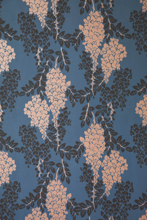 Wisteria BP 2223