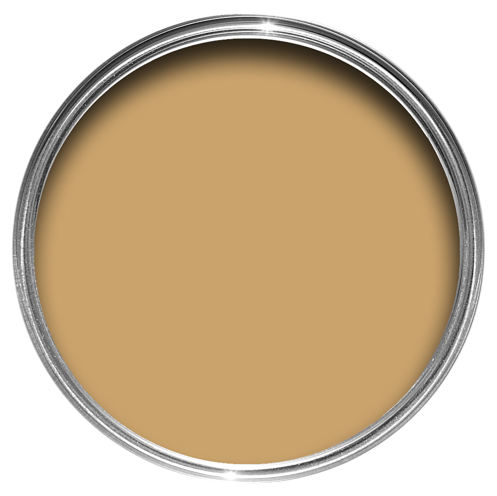 Archive Collection: Cane No. 53