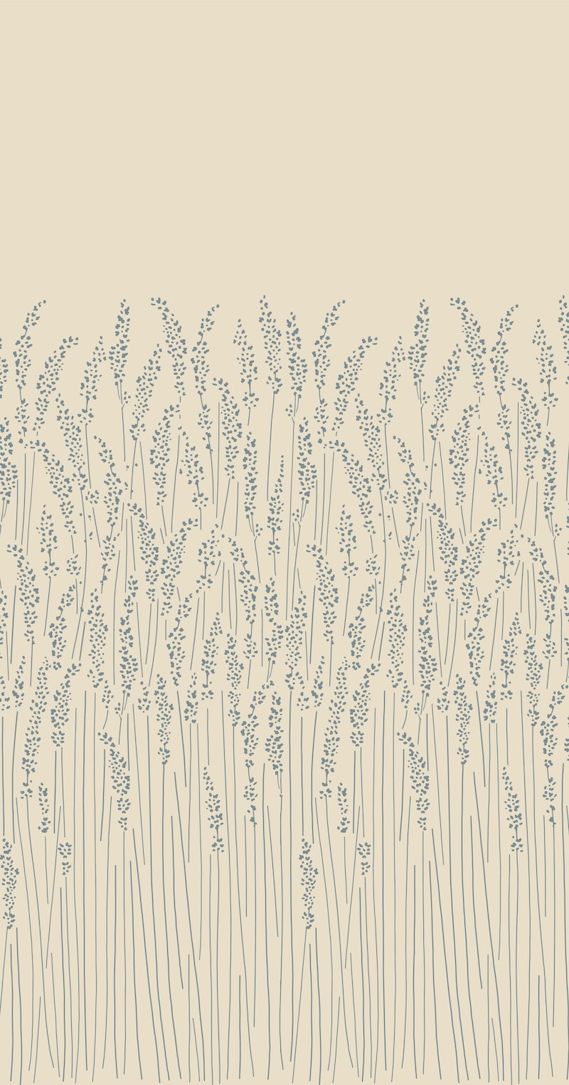 Feathergrass BP 5109