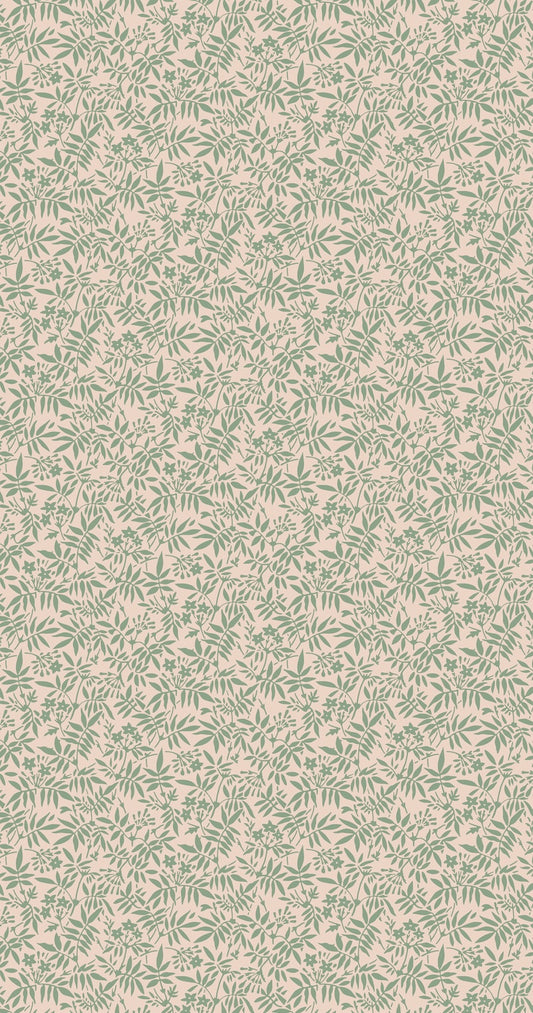 Jasmine BP 3906