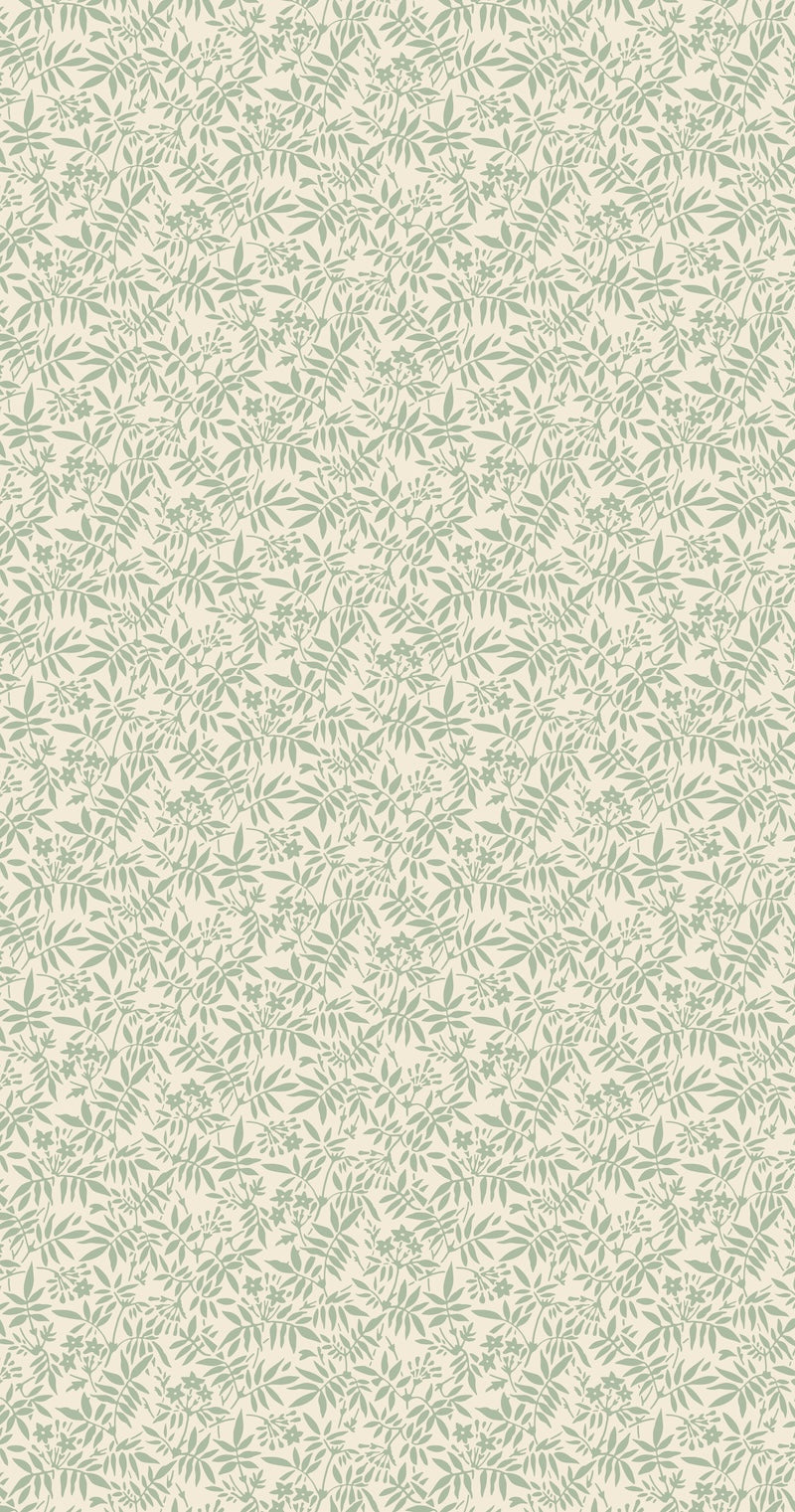 Jasmine BP 3907