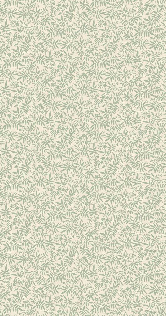 Jasmine BP 3907