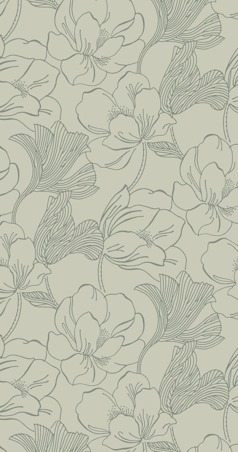 Helleborus BP 5609