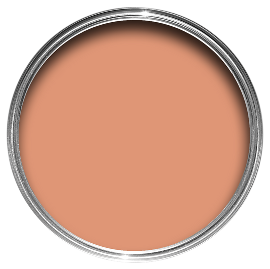 Archive Collection: Ointment Pink No. 21