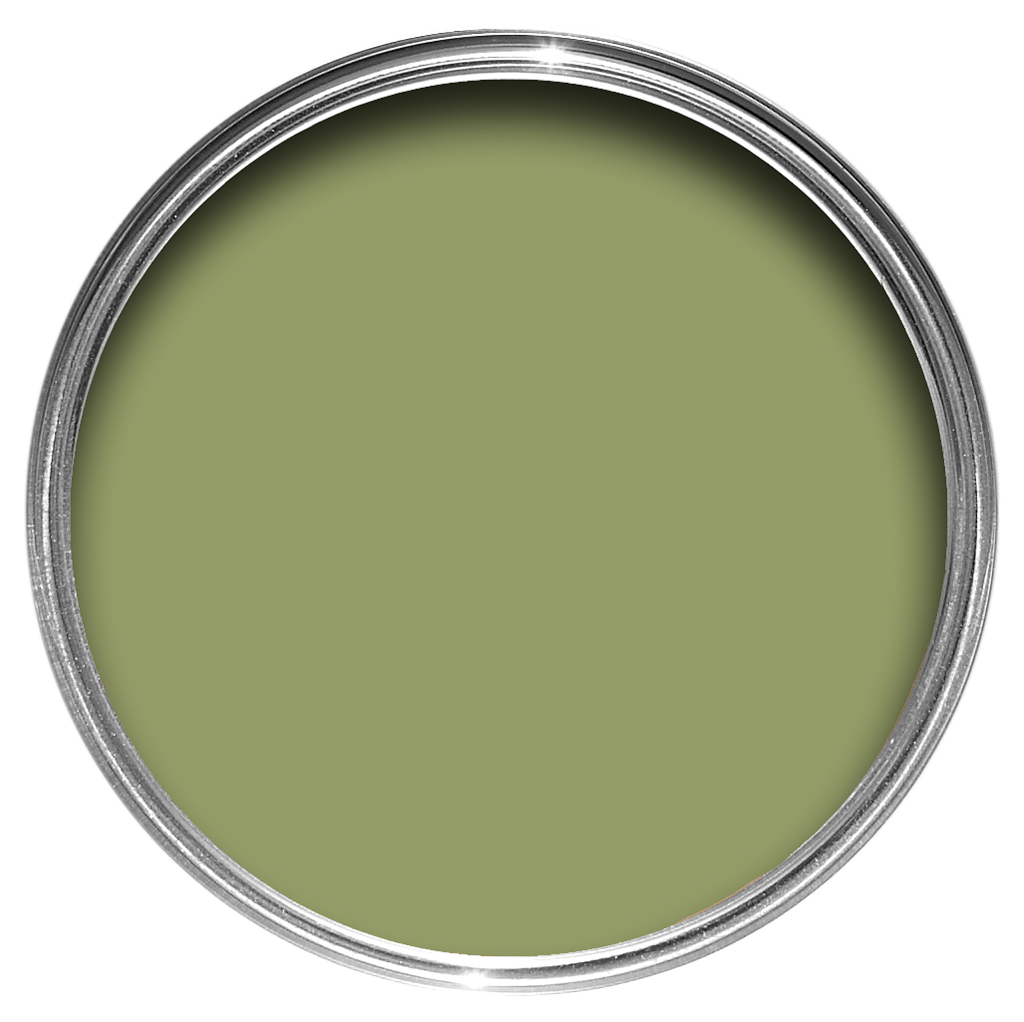 Archive Collection: Olive No. 13