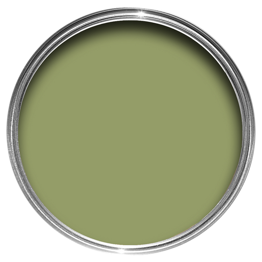 Archive Collection: Olive No. 13