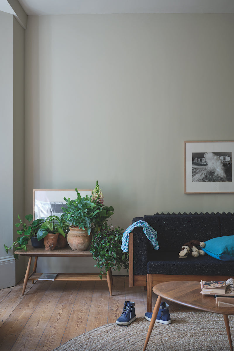 Archive Collection: Ash Grey No. W9