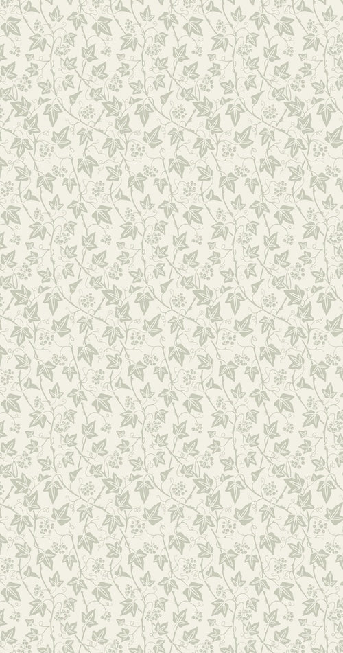 Ivy 6102