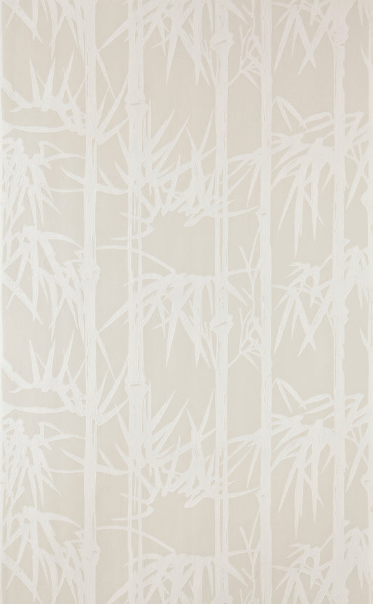 Bamboo BP 2107