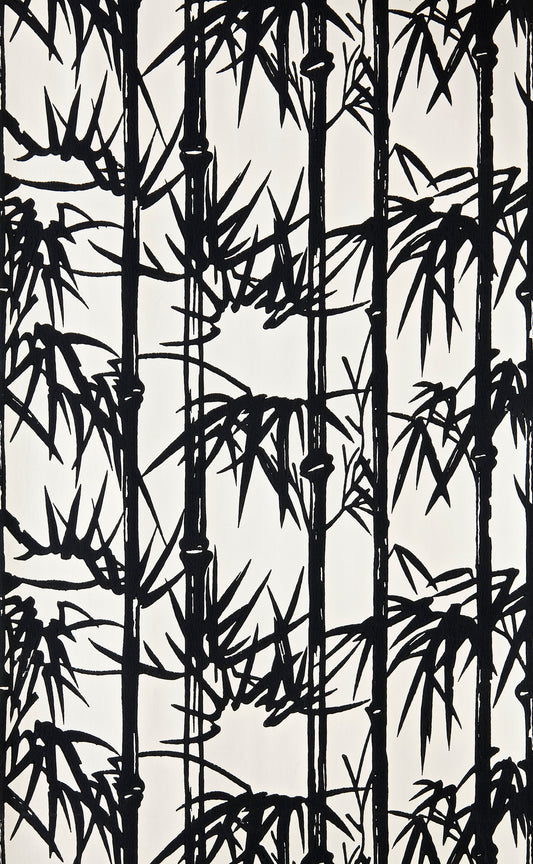 Bamboo BP 2119