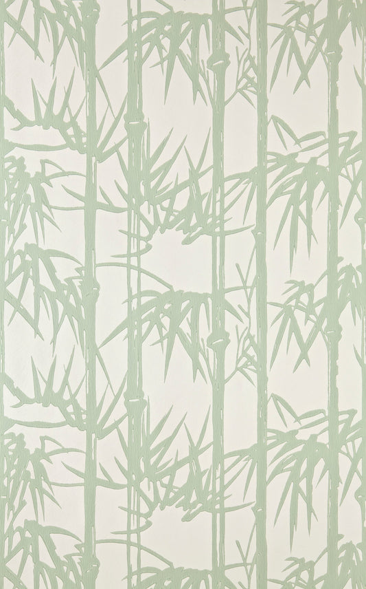 Bamboo BP 2139