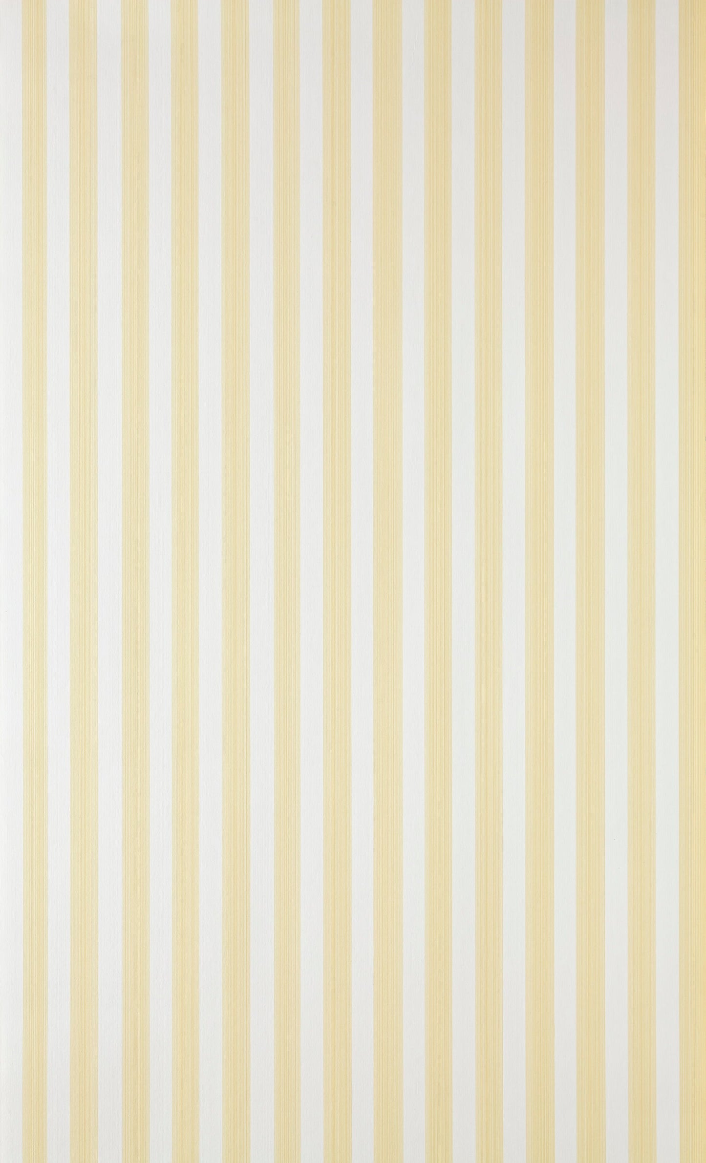 Closet Stripe ST 356