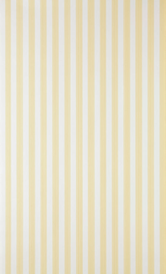 Closet Stripe ST 356