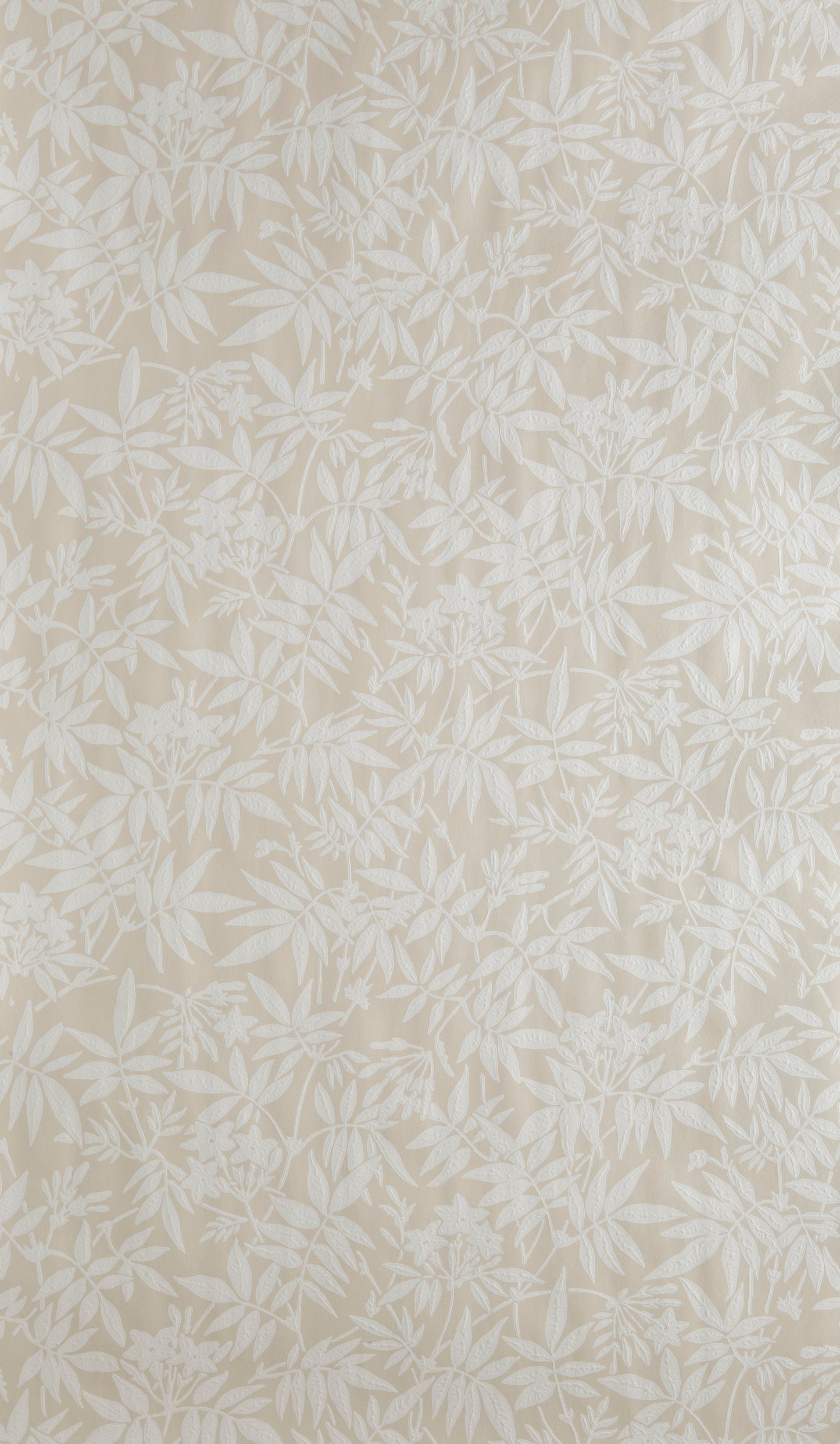 Jasmine BP 3901
