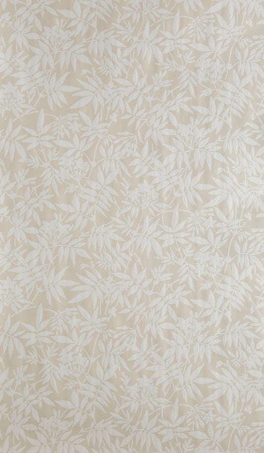 Jasmine BP 3901