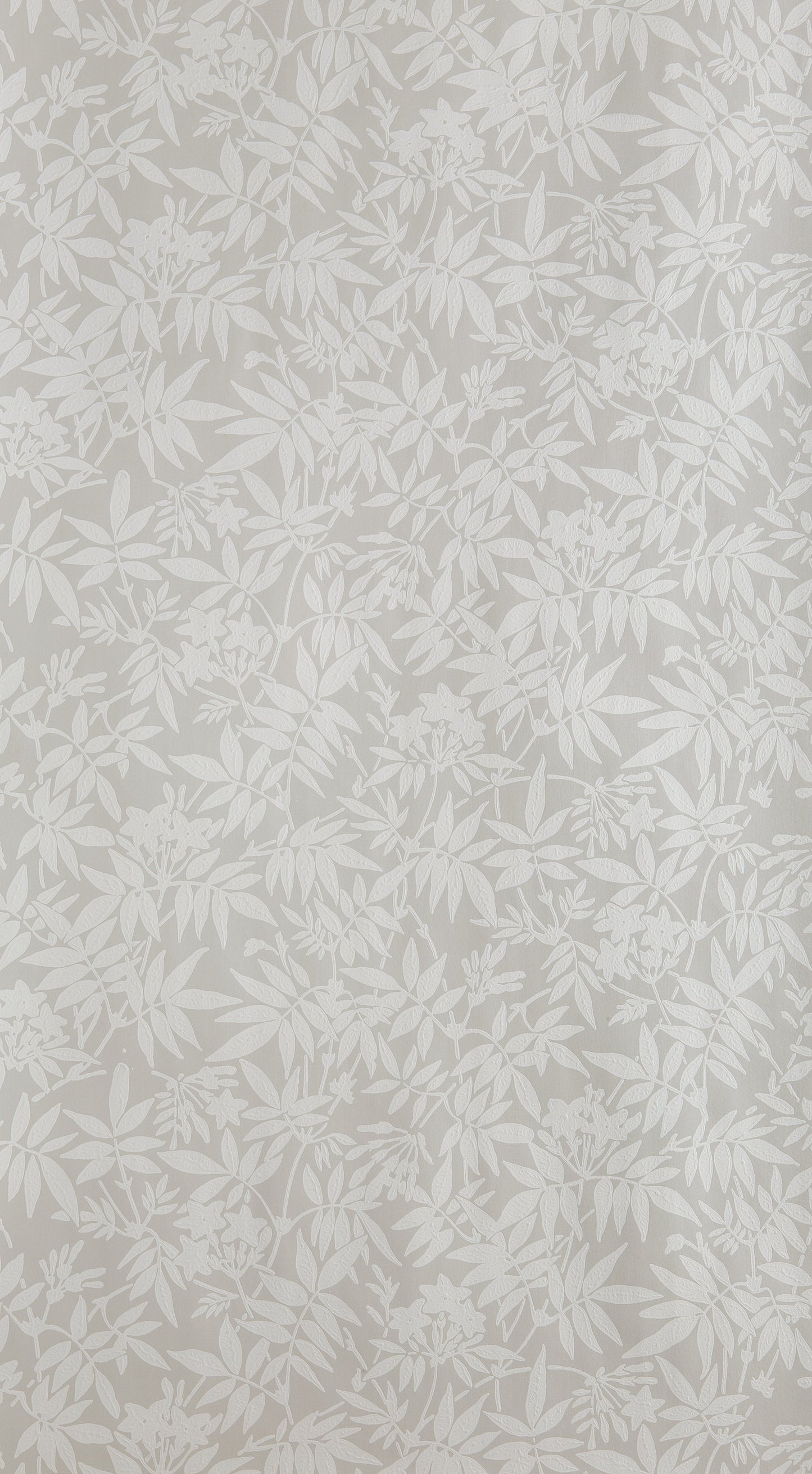 Jasmine BP 3902