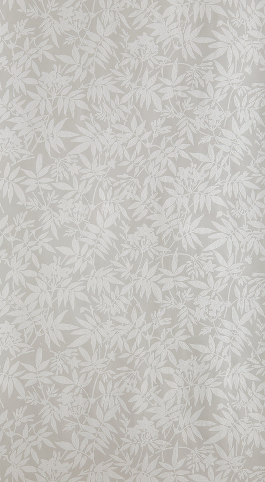 Jasmine BP 3902