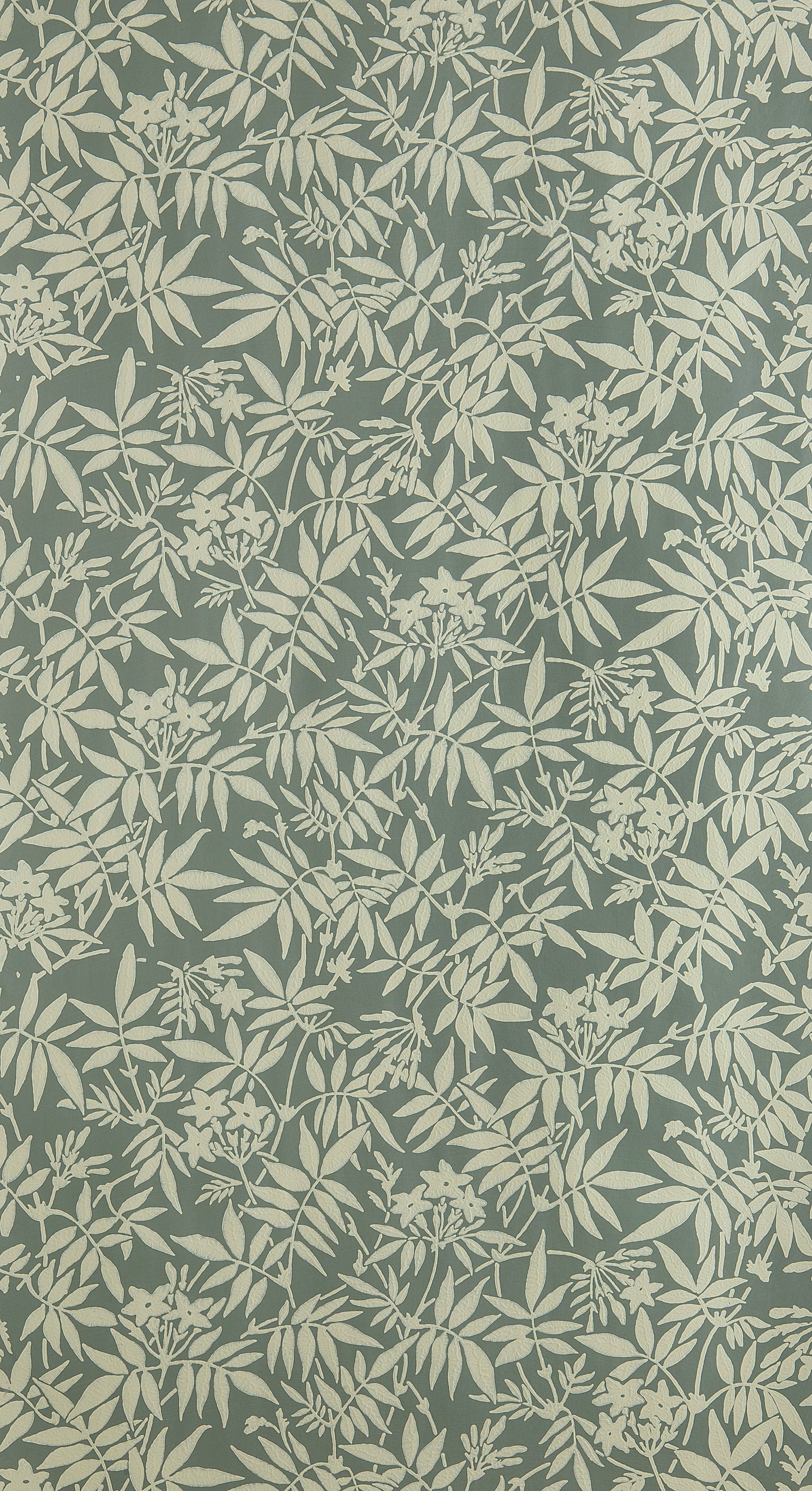 Jasmine BP 3905