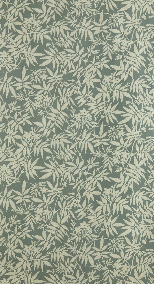 Jasmine BP 3905