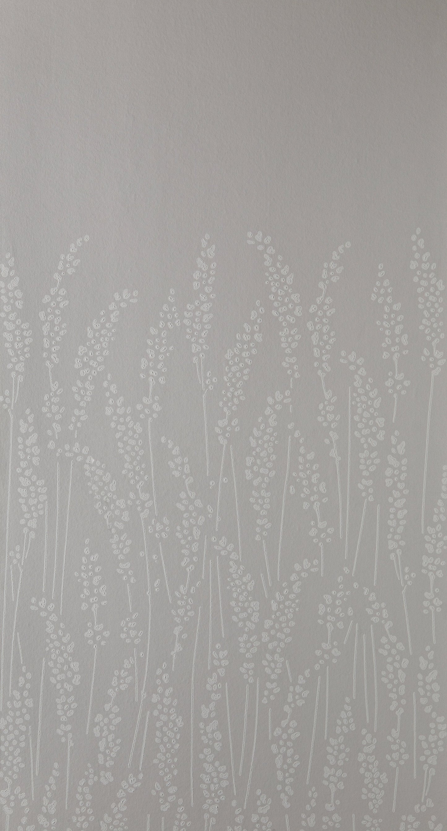 Feathergrass BP 5101
